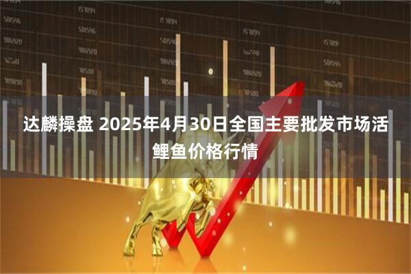 达麟操盘 2025年4月30日全国主要批发市场活鲤鱼价格行情