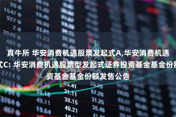 真牛所 华安消费机遇股票发起式A,华安消费机遇股票发起式C: 华安消费机遇股票型发起式证券投资基金基金份额发售公告