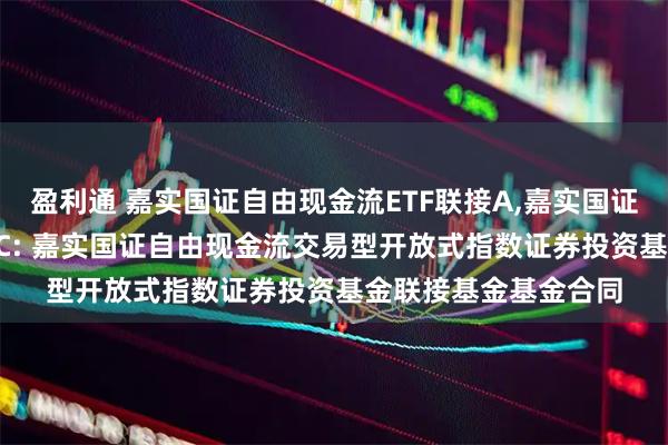 盈利通 嘉实国证自由现金流ETF联接A,嘉实国证自由现金流ETF联接C: 嘉实国证自由现金流交易型开放式指数证券投资基金联接基金基金合同