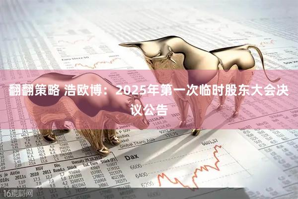 翻翻策略 浩欧博：2025年第一次临时股东大会决议公告