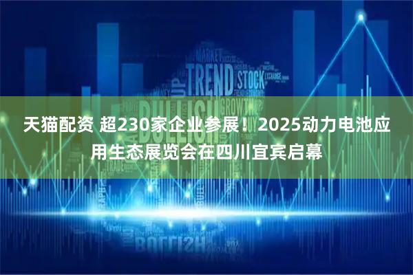 天猫配资 超230家企业参展！2025动力电池应用生态展览会在四川宜宾启幕