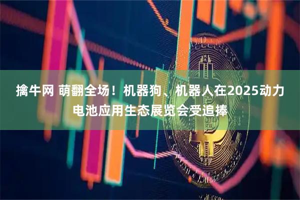擒牛网 萌翻全场！机器狗、机器人在2025动力电池应用生态展览会受追捧